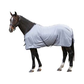 Harry`s Horse Fliegendecke
