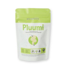 Louie´s Grünepflaume Pluumi fermentiert 15