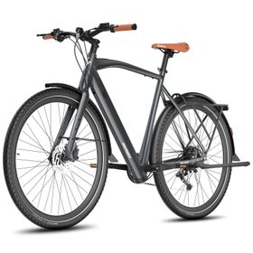 Fafrees F700M Elektrofahrrad mit 36V 10Ah Akku