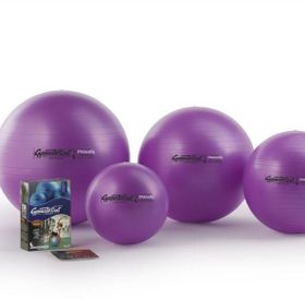 LEDRAGOMMA Pezzi Gymnastikball MAXAFE