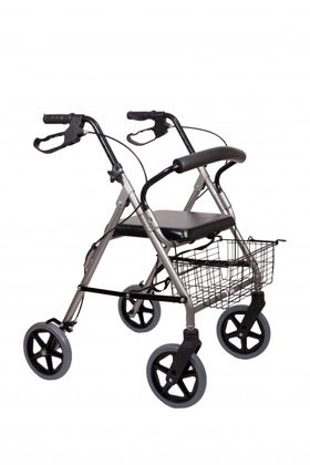 Standard-Leichtgewicht-Rollator AT51003