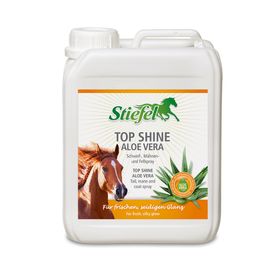 Stiefel Top Shine Aloe Vera Nachfüllkanister