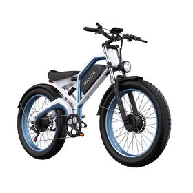 DUOTTS N26 26" Offroad-E-Bike mit Dualmotoren (48 V, 20 Ah)