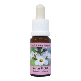 PHI Essences - Water Violet Bachblüte Nr. 34