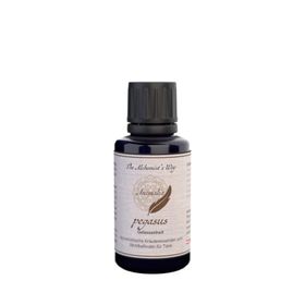 The Alchemist`s Way pegasus – Gelassenheit