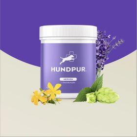 HUNDPUR® NERVEN MIT GLÜCKSKOMPLEX