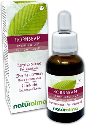 Naturalma Hainbuche Carpinus betulus Tropfen