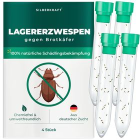 SILBERKRAFT Lagererzwespen gegen Brotkäfer