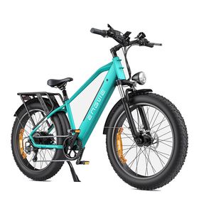 ENGWE E26 Elektro-Mountainbike mit 250W, 48V 16AH Akku