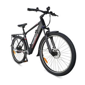 Miyazaki GC1995 Elektrofahrrad mit 48V 14Ah Samsung-Akku