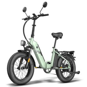 Fafrees FF20 Polar Elektro-Citybike mit zwei 48V 24Ah Akkus