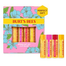 Burt's Bees Lip Balm Bit of Burts 4er Pack