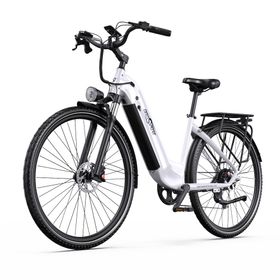 Onesport OT05Pro Elektrofahrrad mit 36V22,5Ah Akku