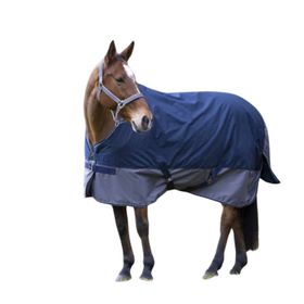 Equitheme Tyrex Outdoordecke