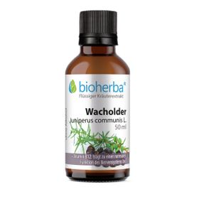Wacholder Juniperus communis L. Tropfen Tinktur 50 ml PZN 18218024