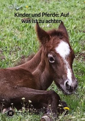 Kinder und Pferde: Auf was ist zu achten DE