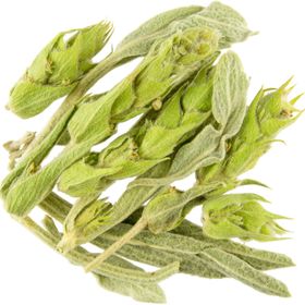 Kräuterkontor Griechischer Bergtee, geschnitten