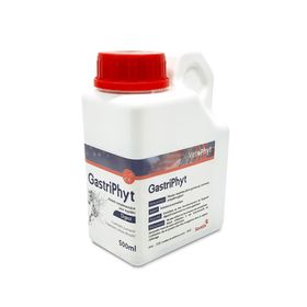 Savetis GastriPhyt für Pferde