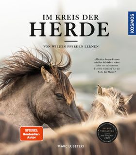Im Kreis der Herde Von wilden Pferden lernen
