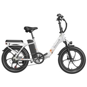 Cheevalry C20 Elektrofahrrad mit 48V15AH-Akku