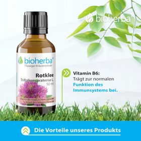 Rotklee Trifolium pratense L. Tropfen Tinktur 50 ml PZN 17187474