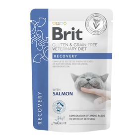 Brit Veterinary Diet - Cat Pouch - Fillets in Gravy - Recovery
