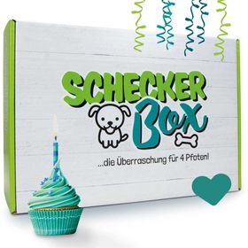 Schecker Geburtstagsbox für Hunde