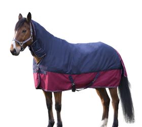Equitheme Outdoordecke TYREX