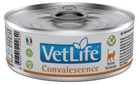 Farmina Vet Life Convalescence Nassfutter für Katzen