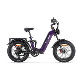 CYRUSHER Kommoda 3.0 Elektro-Lastenrad mit 48V 20Ah Akku