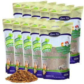 Lyra Pet® Soldatenfliegenlarven