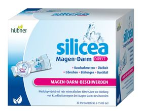 Hübner Silicea Balsam Magen-Darm Direkt 450ml