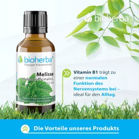 Melisse Melissa officinalis L. Tropfen Tinktur 50 ml PZN 17187623