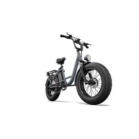 URLIFE E20 Pro E-Bike mit 48V 15,6Ah Akku, LCD-Display und Gepäckträger