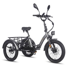 Fafrees F20 Mate Elektrisches Lastendreirad mit 48V 21Ah Batterie