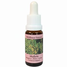 PHI Essences - Königskerze Wildblüten Essenz