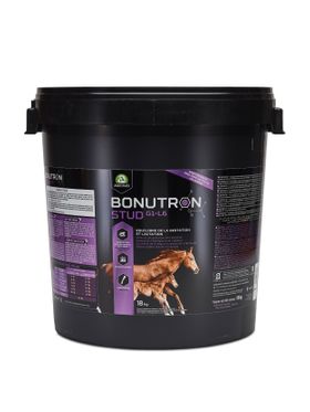 Audevard Bonutron Stud G1-L6 für Stuten