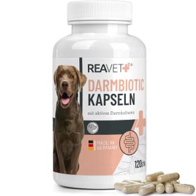 Darmbiotic Kapseln - ReaVET
