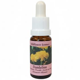 PHI Essences - Löwenzahn Wildblüten Essenz