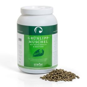 STRÖH Grünlippmuschel