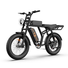 URLIFE T2 Offroad-Elektrofahrrad, 250-W-Motor, 48-V-15,6-Ah-Akku