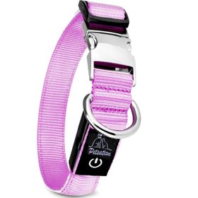 PETSATION Leuchthalsband Hundehalsband