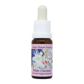 PHI Essences - White Chestnut Bachblüte Nr. 35
