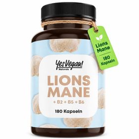 Lions Mane hochdosiert (180 Kapseln) bekannt als Löwenmähne Pilz oder Hericium Erinaceus, vegan