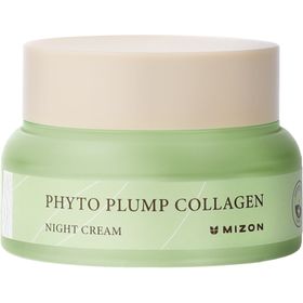 Night Haut cream Phyto Plump Collagen (Night Cream)