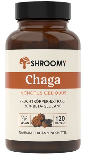 SHROOMY Chaga Kapseln