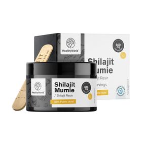 HealthyWorld Shilajit Mumie 600 mg – Harz zum Ausgleich von Körper und Geist