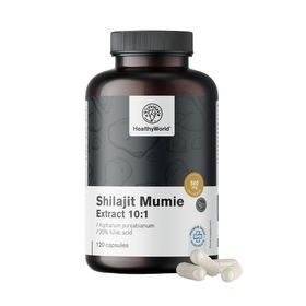 HealthyWorld Shilajit Mumie 10:1 – Mineralharz mit 20 % Fulvinsäure