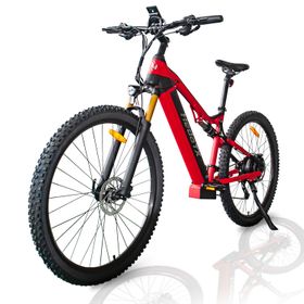 HedaTX TX19 Elektro-Mountainbike mit 48V 19,2Ah Akku