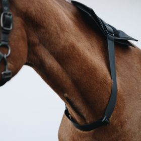 Cheval LED Verstellbares Band